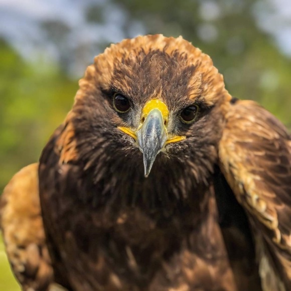 Meet your Posher, Andrew - Picture 1 of 1